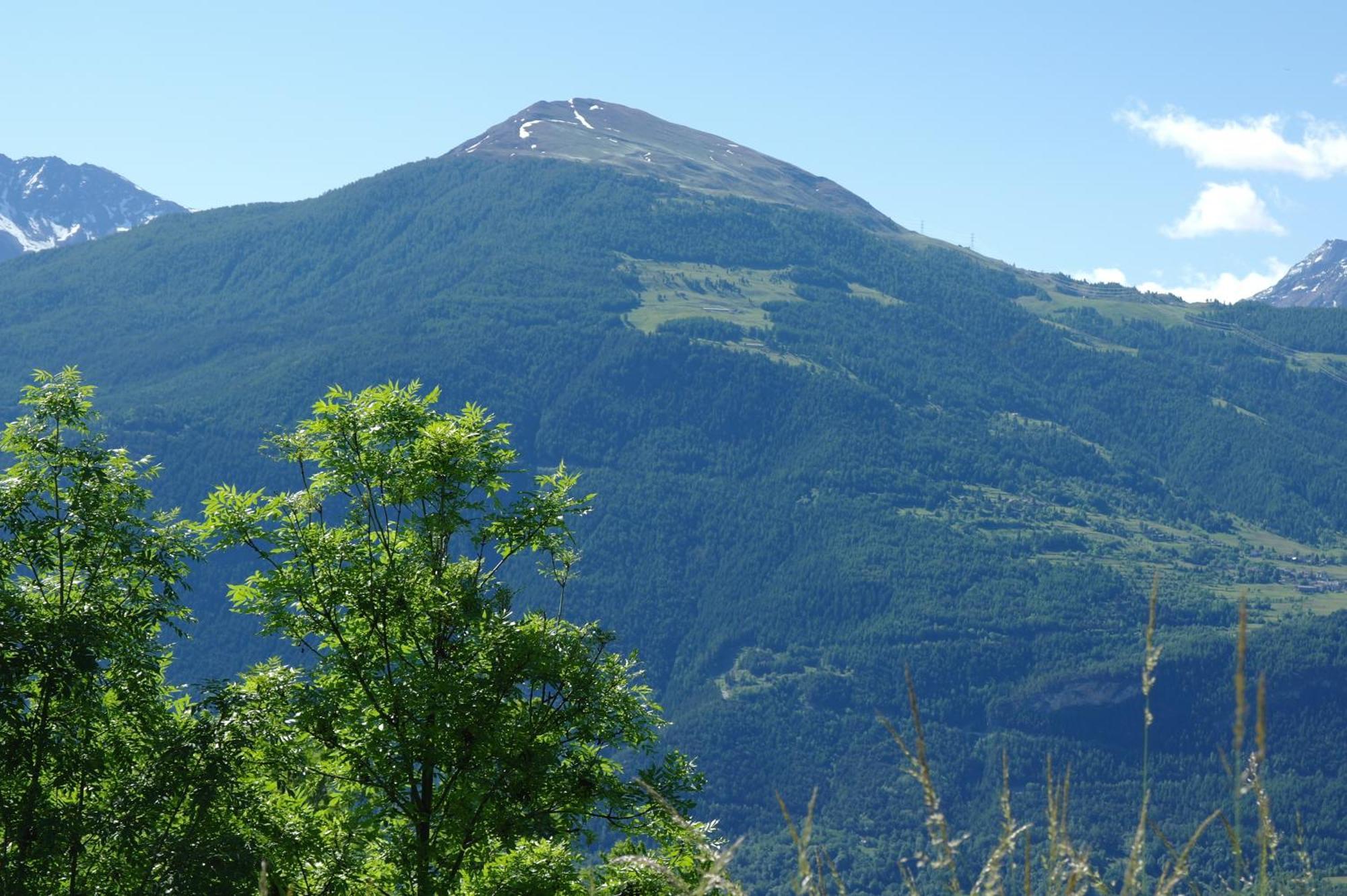 Le Vieux Noyer - Appartamenti Al Verde Villaggio Di Rumiod Saint-Pierre Luaran gambar